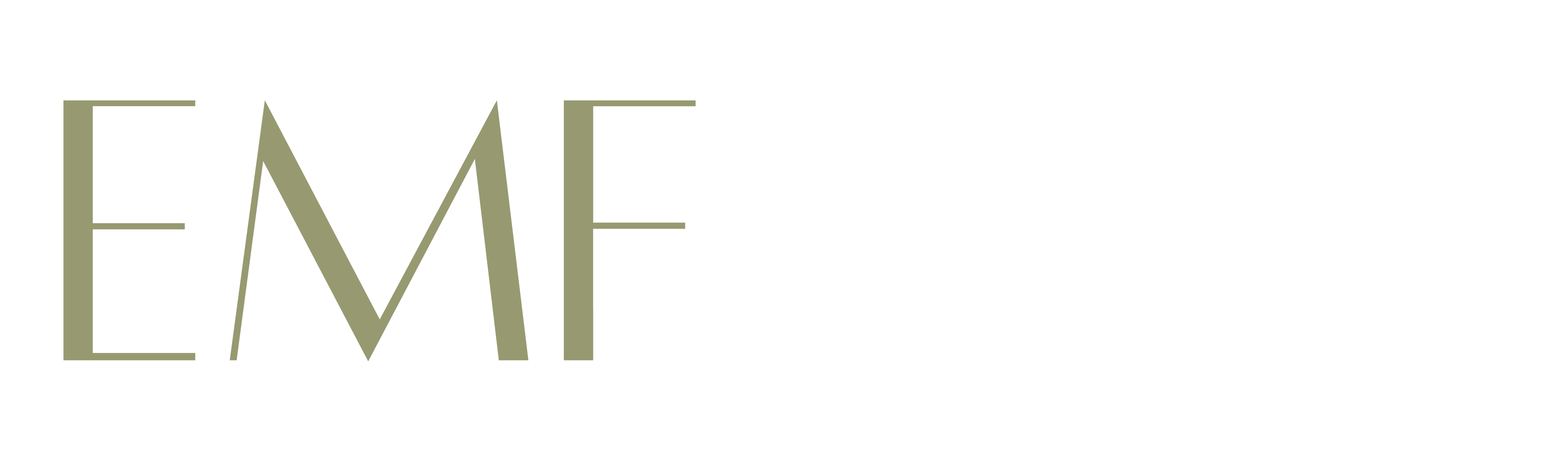 EMFIQUE: EMF Protective Clothing